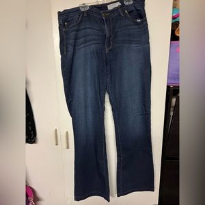 Pistola Dark Wash Stretch  Jeans